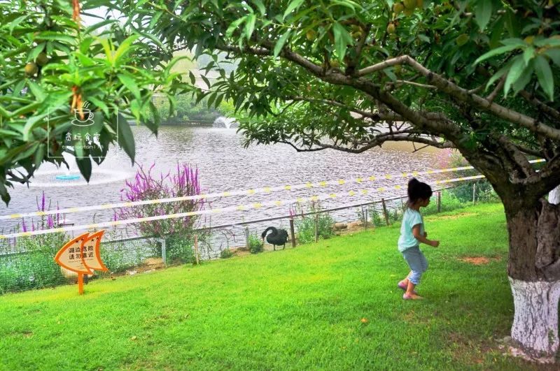 北京春晖园,北京春晖园随园