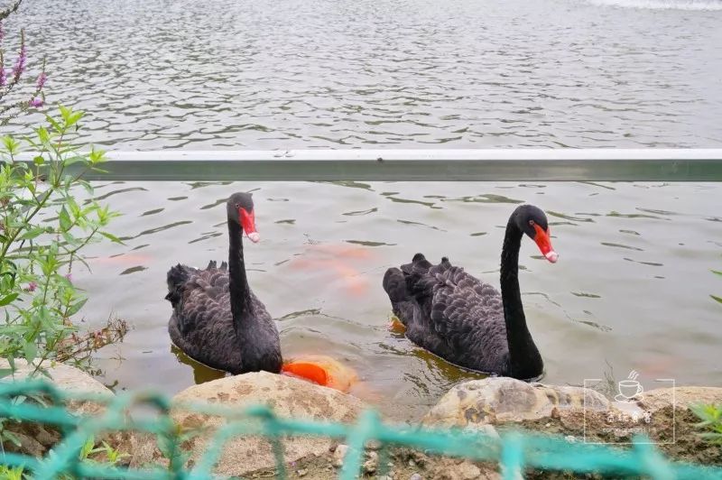 北京春晖园,北京春晖园随园