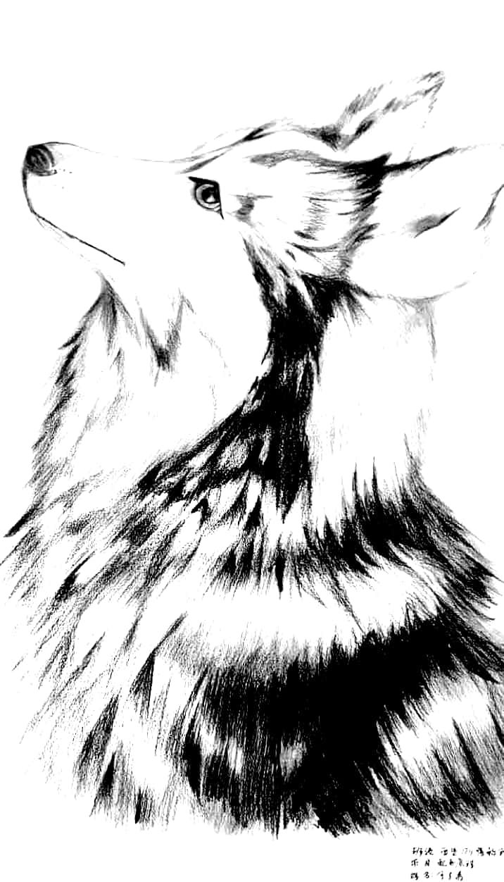 幸福原创画吧画友（7月11日）习作分享