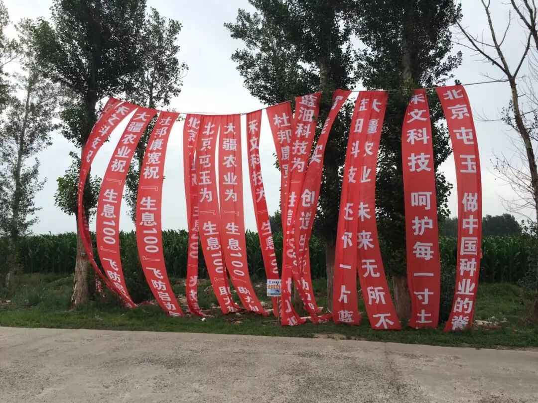 10万亩作业,大疆农业携手北京屯玉,保卫通辽玉米