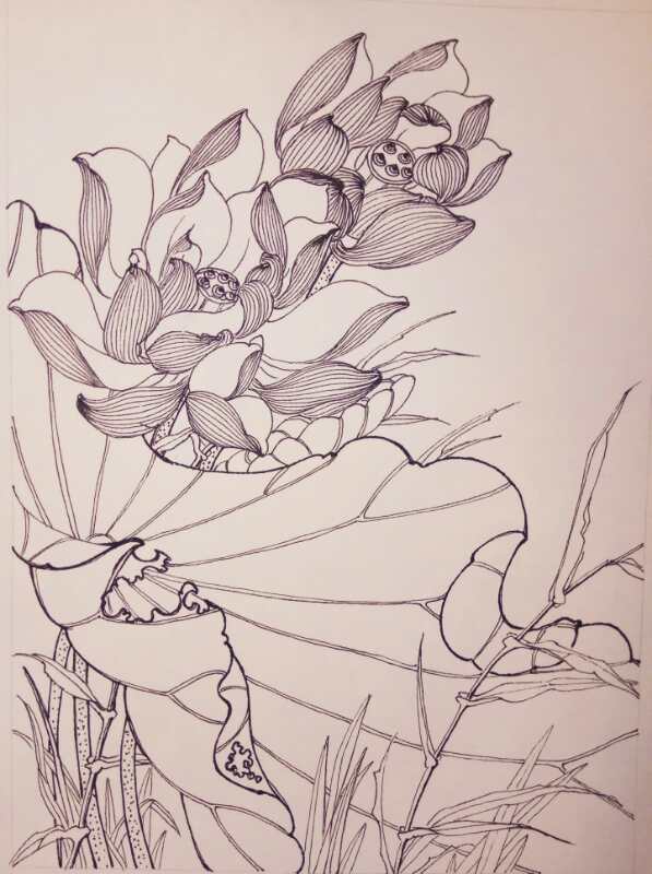 幸福原创画吧画友（7月11日）习作分享