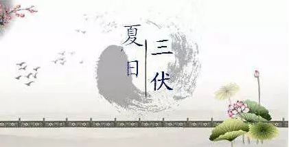 下雨?凉快?得瑟不了几天三伏天就来啦,咋能去“伏邪”知道不?