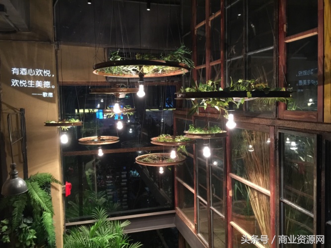 遇见胡桃里音乐酒馆,走进胡桃里