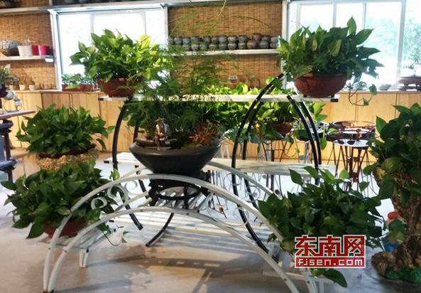 「乡村振兴巾帼行动」莆田张谋婧:因水晶泥滞销与花结缘小门店跃升为公司