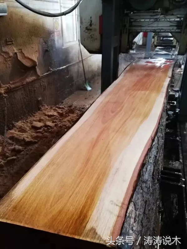 涛涛说木,涛涛说实木