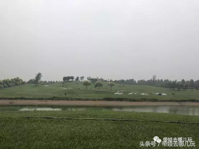 长隆野生动物园一日游简单攻略,长隆野生动物园两天一晚游玩攻略