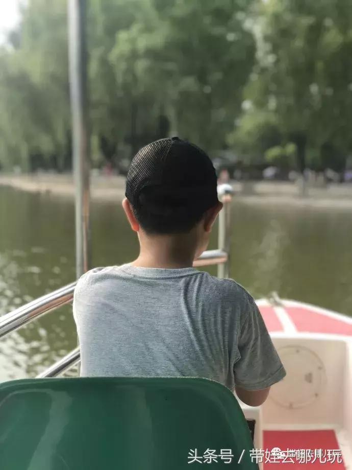 长隆野生动物园一日游简单攻略,长隆野生动物园两天一晚游玩攻略