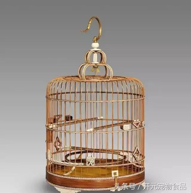 鸟笼使用方法及缺点,看鸟笼的正确方法图解