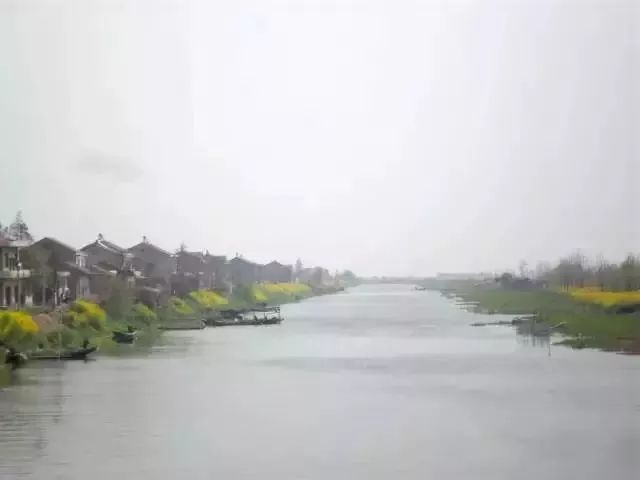 《春寒-凋零野水下鹚滩》作者：原上菁