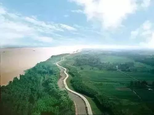 《春寒-凋零野水下鹚滩》作者：原上菁