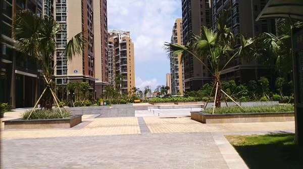 沙井新城，张哥哥真诚为您推荐