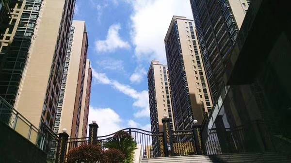 沙井新城，张哥哥真诚为您推荐