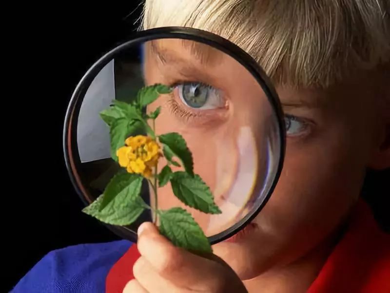 儿童益智类小游戏快来动手试试吧,适合给孩子玩的智力小游戏