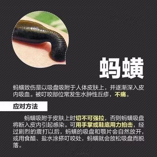 螨虫的三大罪状导致宝宝感染疾病,小孩出现这几种症状说明螨虫成堆