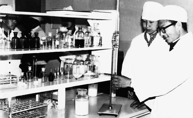 中国乳都伊利,中国乳制品品牌现状