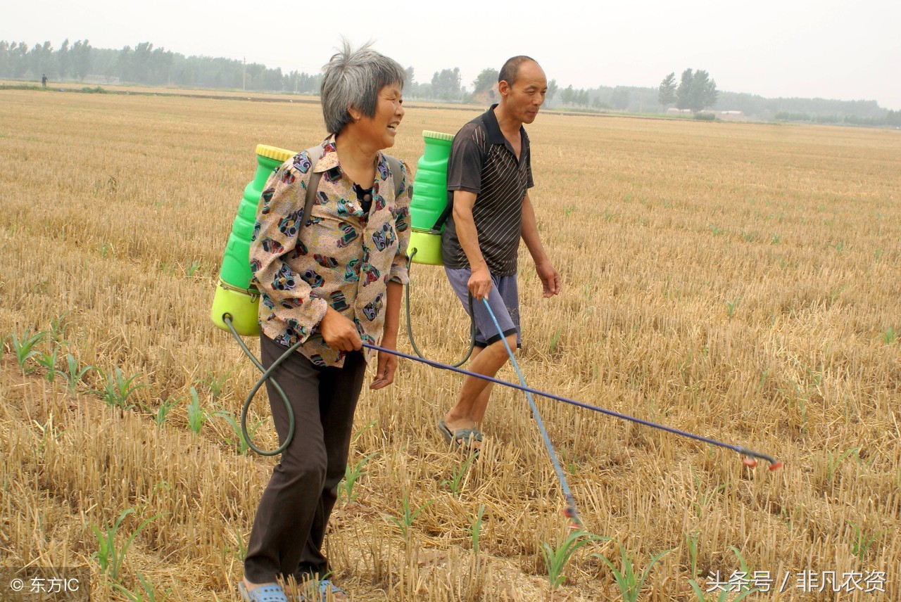 农药稀释兑水对照表,100克农药稀释600倍怎么兑水