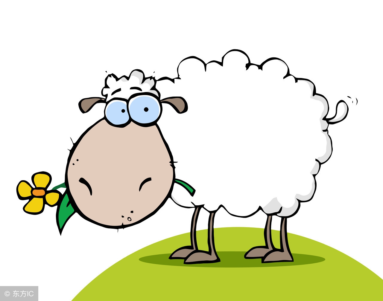 论南方的蟑螂有多么可怕