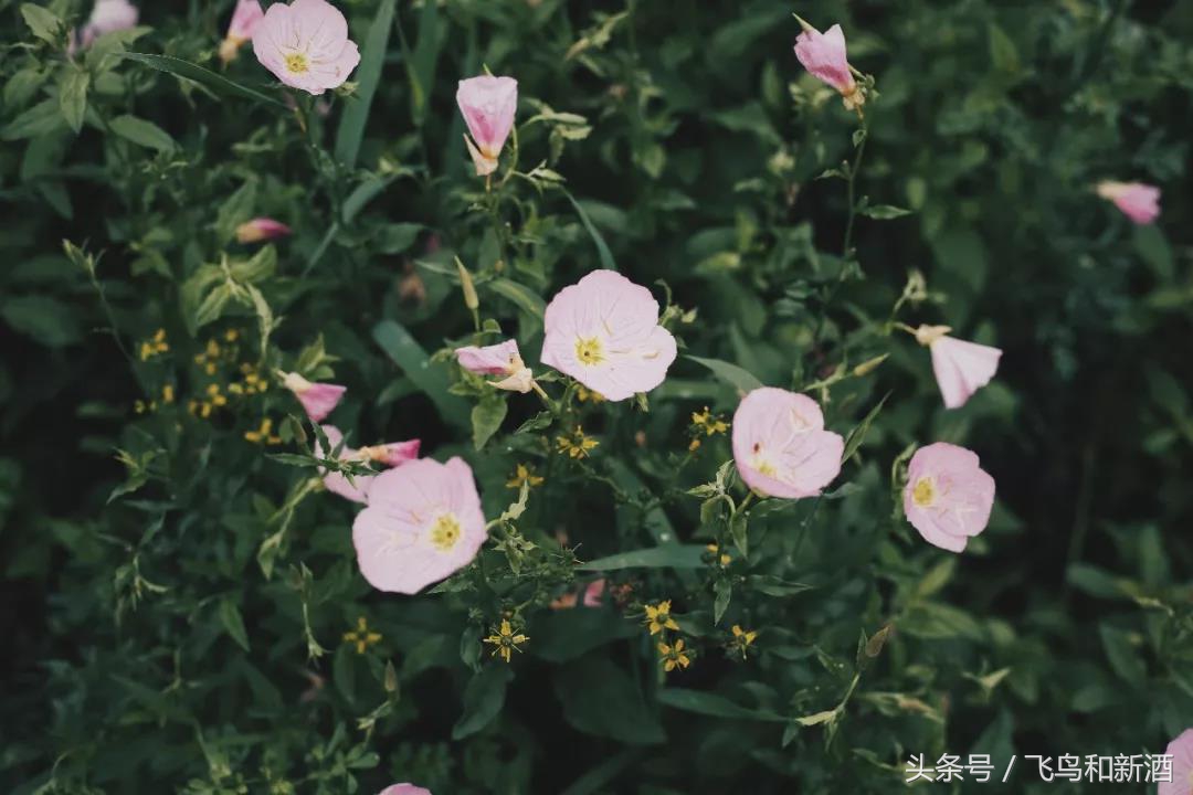 FEi节气｜有一个地方只有我们知道