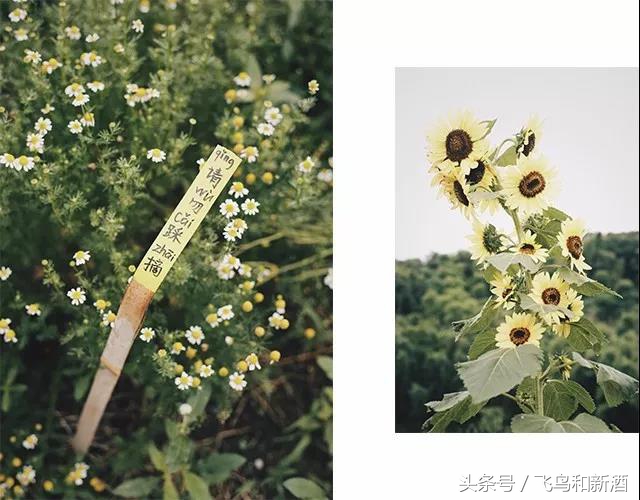 FEi节气｜有一个地方只有我们知道