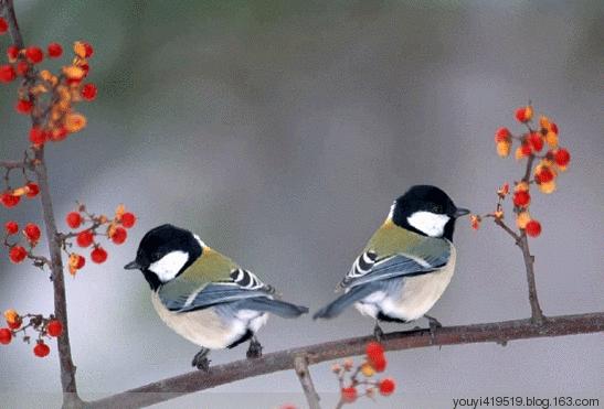 11月10，观音赐福了，快接住，谁打开谁幸福，福福福福福