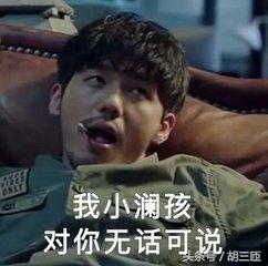 酵母水平价,平价二裂酵母精华水