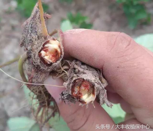 做到这7点疾病远离你,做到这7点让心血管健康一辈子