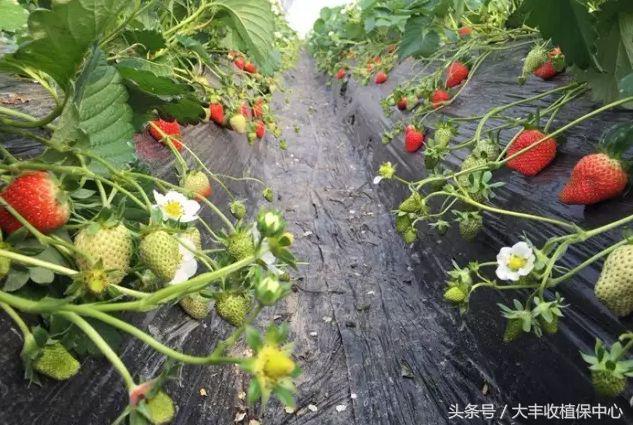 做到这7点疾病远离你,做到这7点让心血管健康一辈子