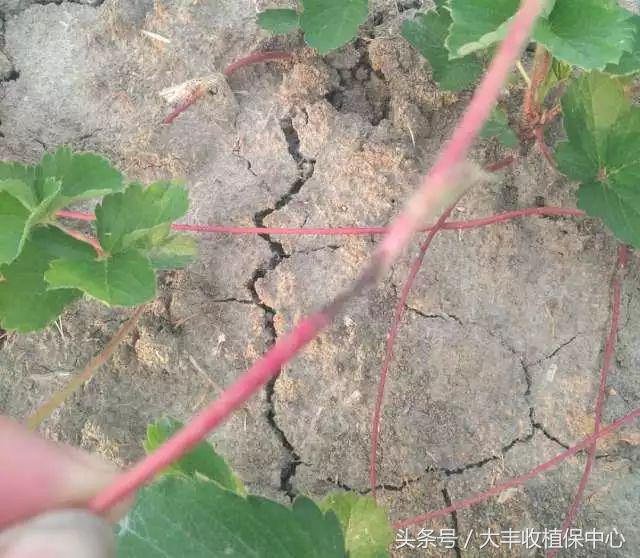 做到这7点疾病远离你,做到这7点让心血管健康一辈子