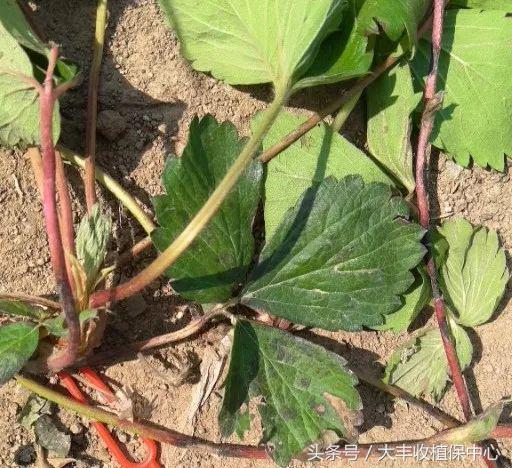 做到这7点疾病远离你,做到这7点让心血管健康一辈子