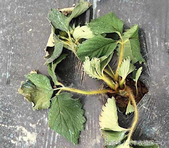 做到这7点疾病远离你,做到这7点让心血管健康一辈子