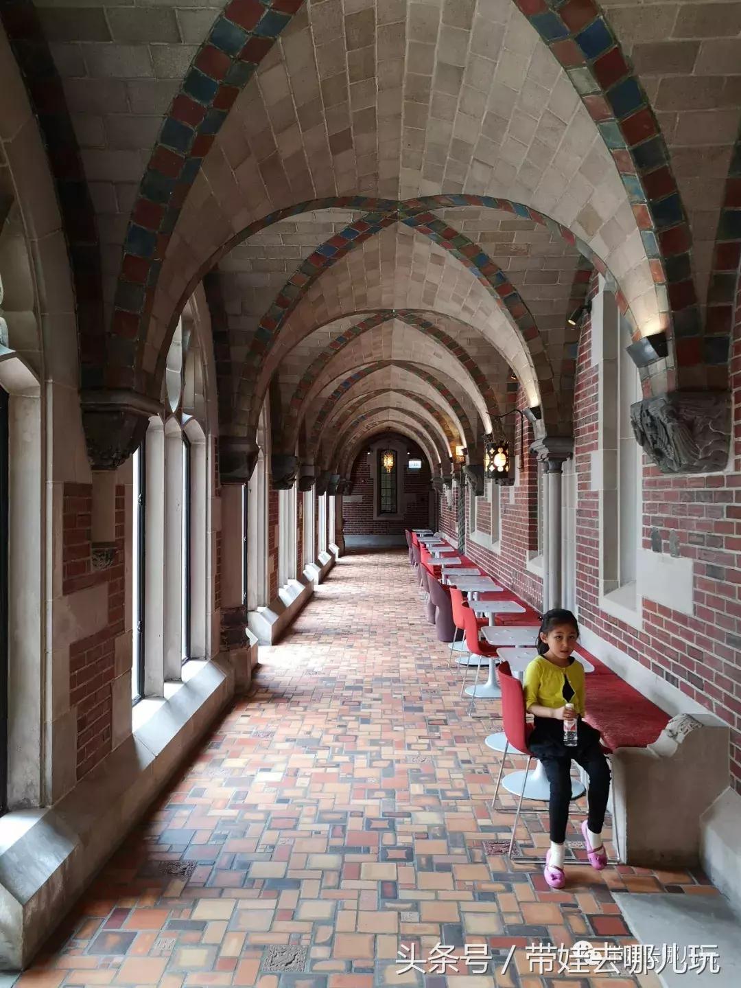 芝加哥夏季游玩攻略,芝加哥夏天游玩攻略