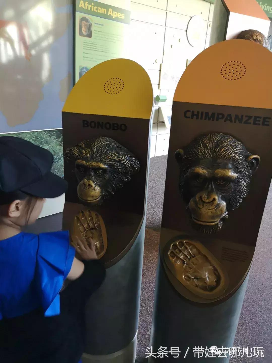 芝加哥夏季游玩攻略,芝加哥夏天游玩攻略