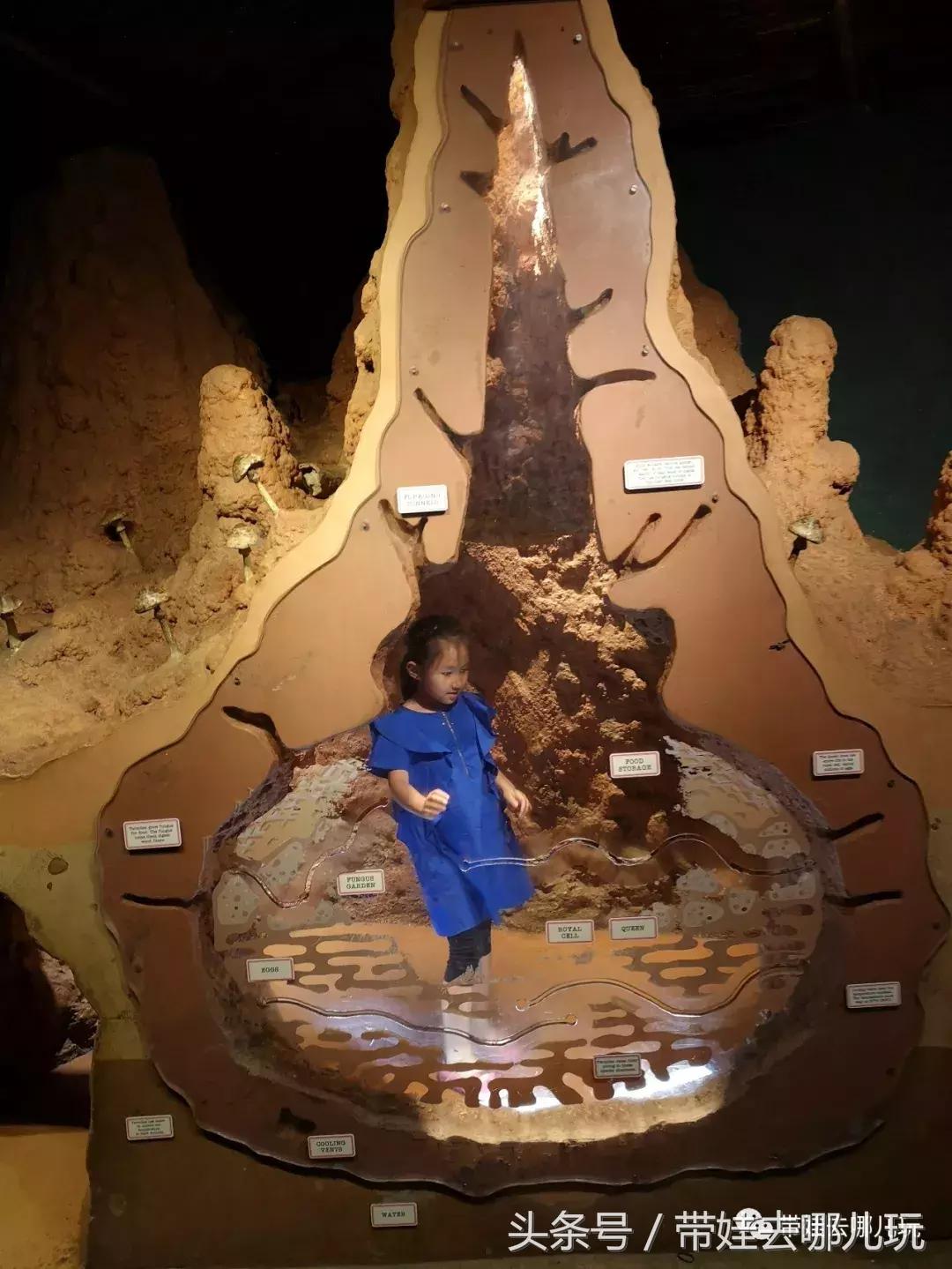 芝加哥夏季游玩攻略,芝加哥夏天游玩攻略