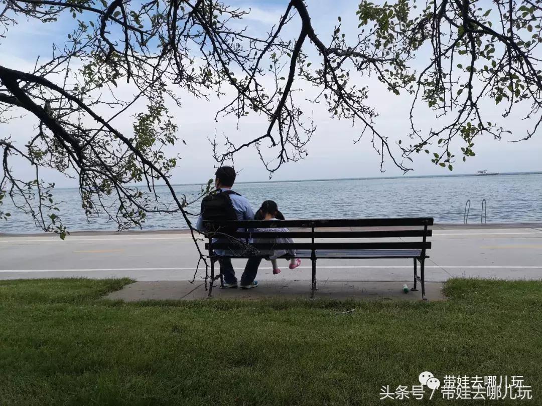 芝加哥夏季游玩攻略,芝加哥夏天游玩攻略