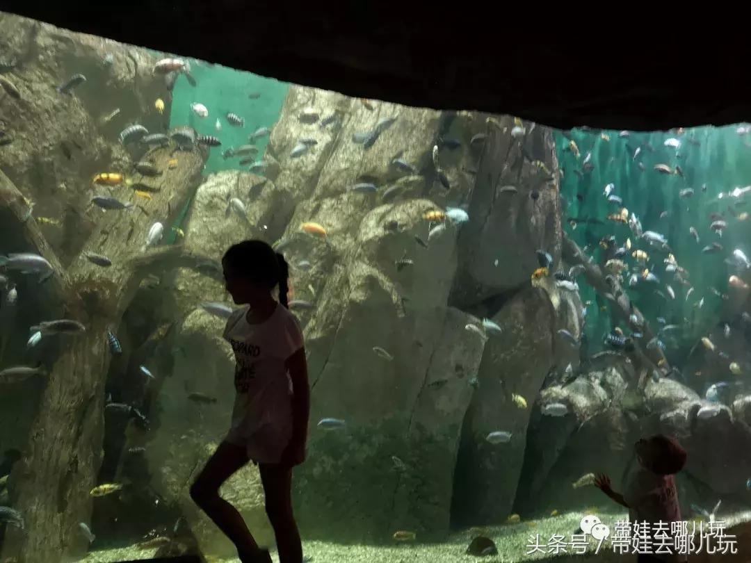 芝加哥夏季游玩攻略,芝加哥夏天游玩攻略