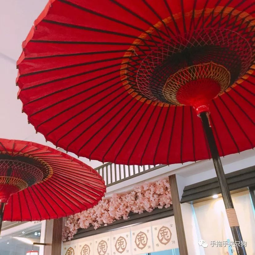 一周一会“仰忠汇”，我们快把北京路这栋楼吃遍了~