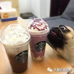 一周一会“仰忠汇”，我们快把北京路这栋楼吃遍了~