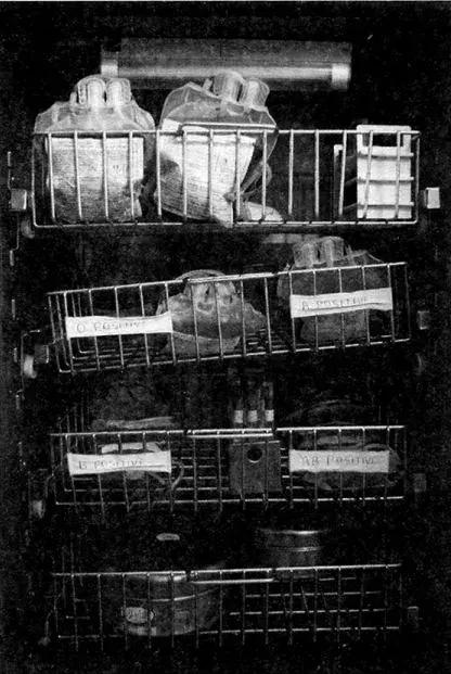 猎奇I世界人体交易秘史——一觉醒来肝和肾全没了