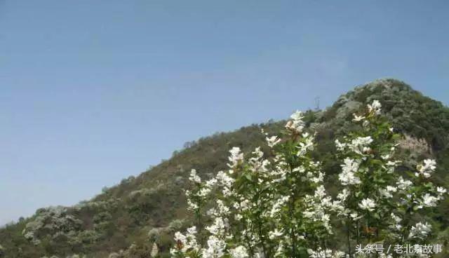 北京著名的72景在哪里,你知道北京有哪些名胜古迹