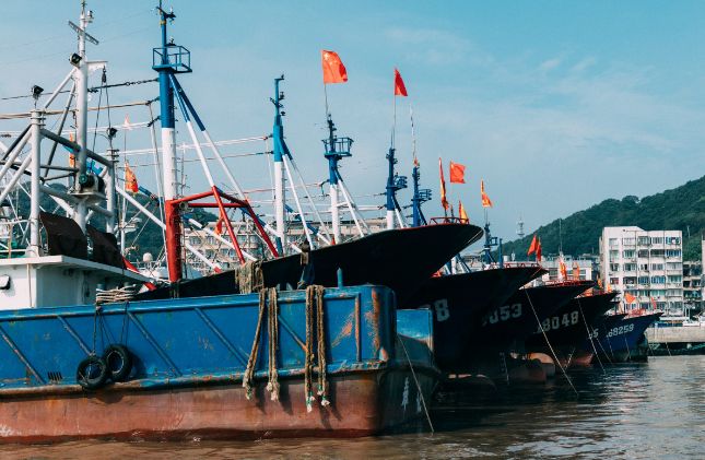 这就是宁波,这不是舟山吧