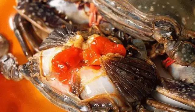 这就是宁波,这不是舟山吧