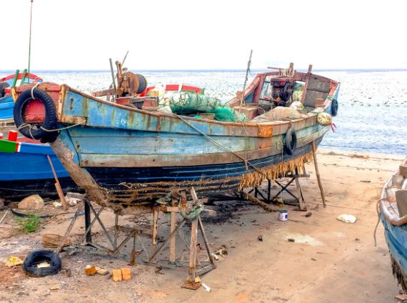 这就是宁波,这不是舟山吧