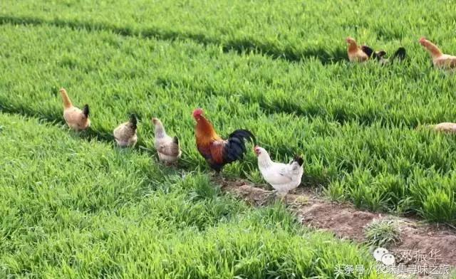 襄阳农特微商:他好友不足1000,月入过万,半个月销售近80000元