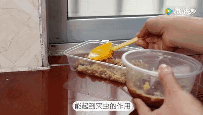 洗衣粉白糖消灭蟑螂,一勺洗衣粉