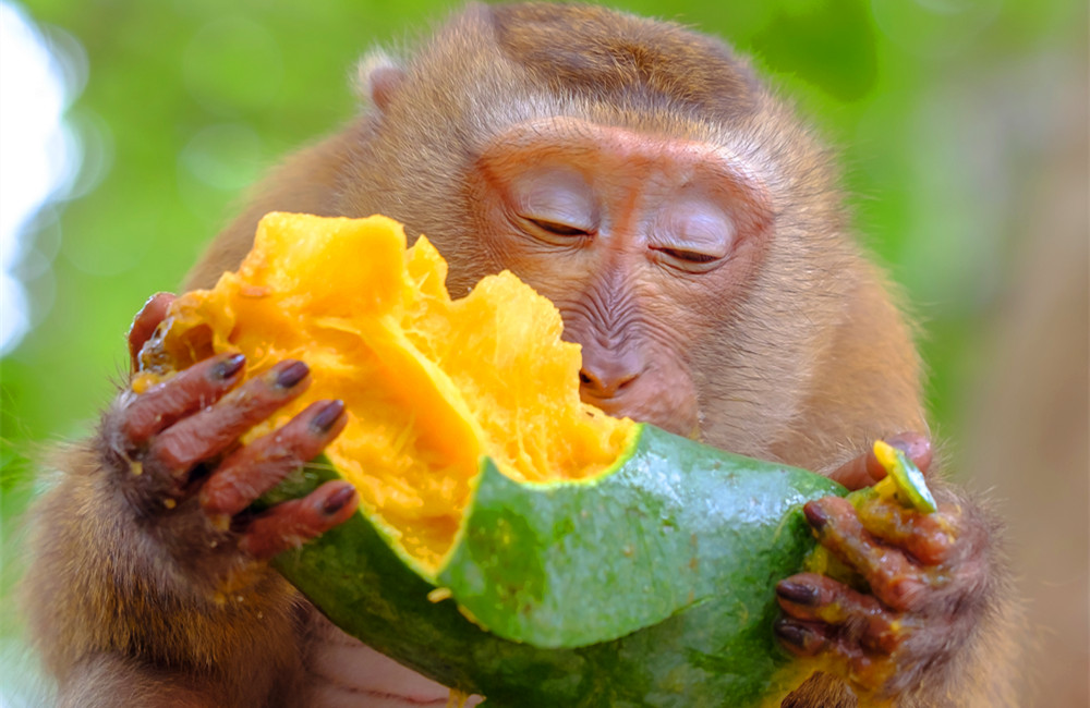 谈一谈，我和爱豆去旅行的那些事……