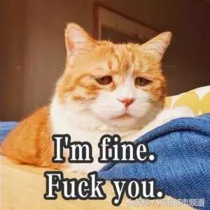 查获假伟哥11万颗男子被刑拘,售卖假伟哥被罚10万