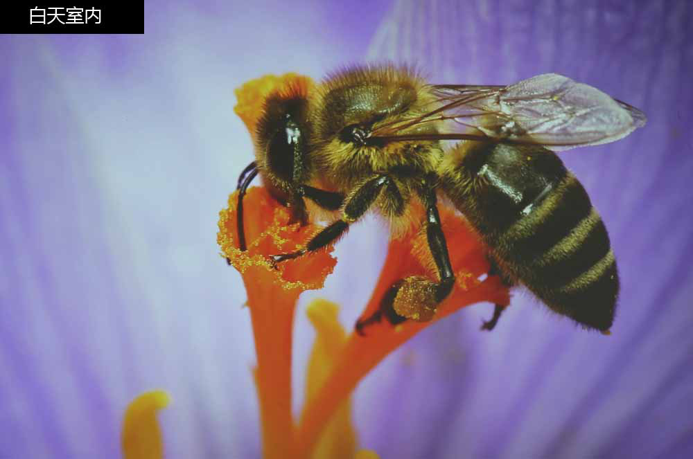 长虹最值得买的激光电视,3000左右激光投影电视