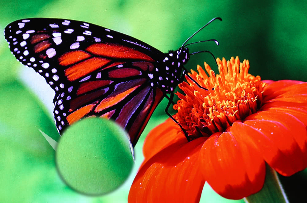 长虹最值得买的激光电视,3000左右激光投影电视