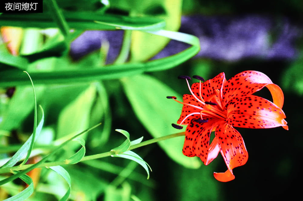 长虹最值得买的激光电视,3000左右激光投影电视