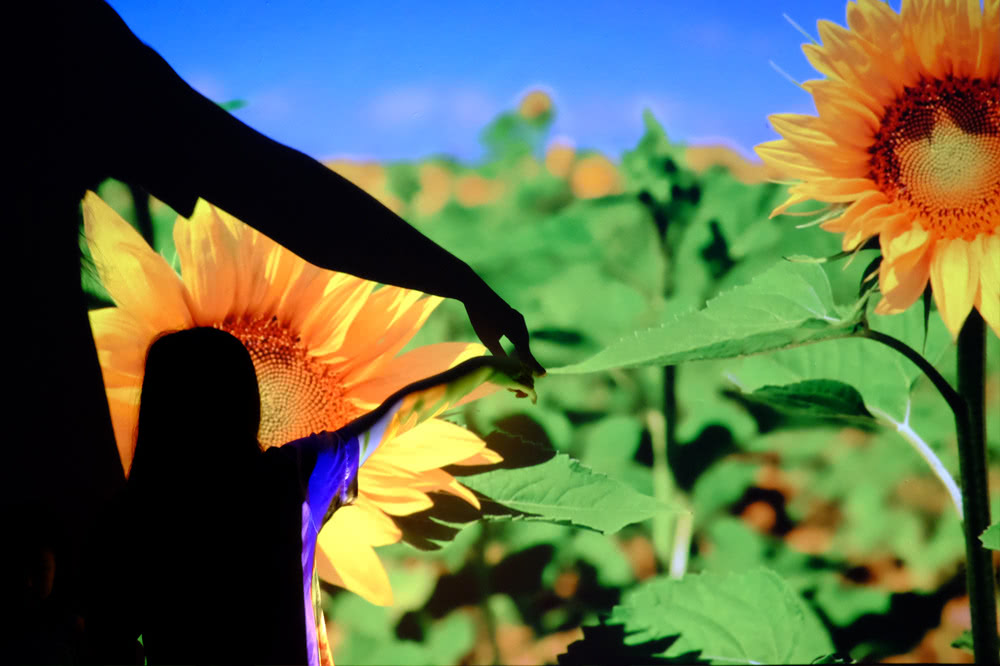 长虹最值得买的激光电视,3000左右激光投影电视